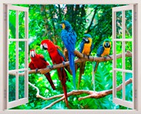 Wall Stickers: Parrots 5