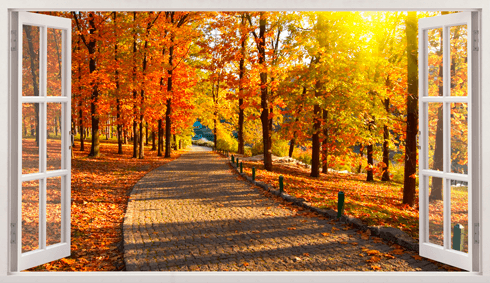 Wall Stickers: Park in autumn