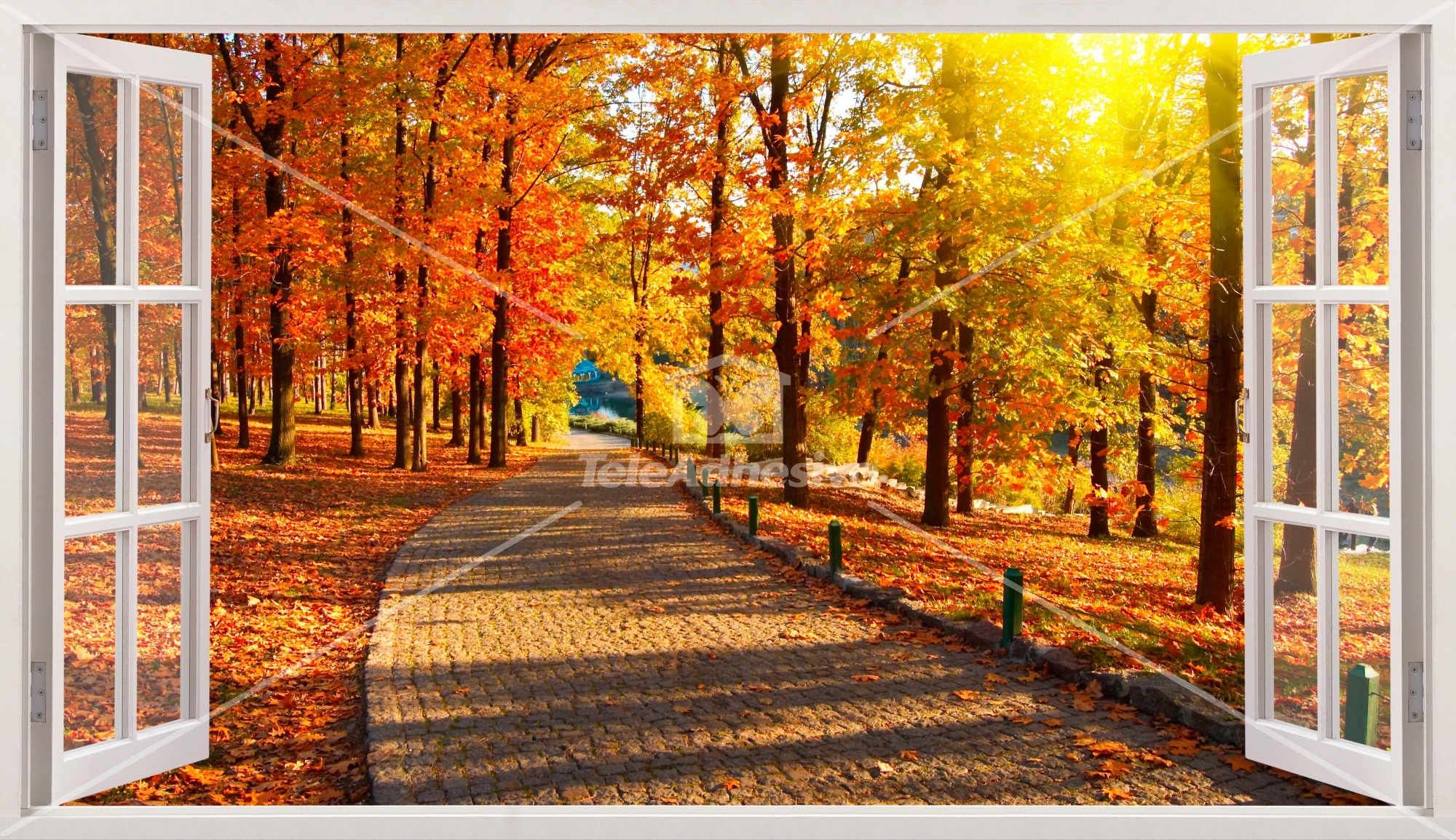 Wall Stickers: Park in autumn