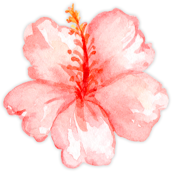 Stickers for Kids: Watercolour Hibiscus