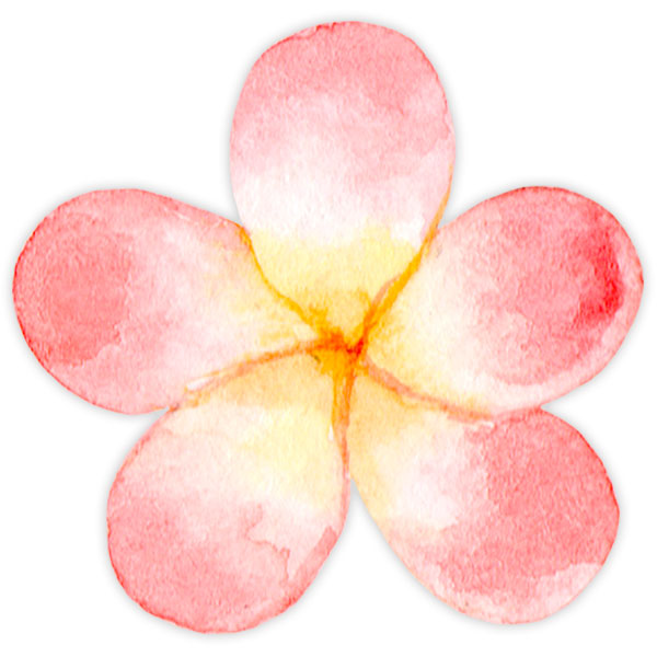 Stickers for Kids: Watercolor Poppy Flower