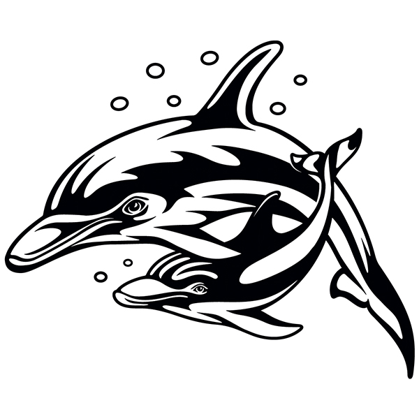 Camper van decals: Family of Dolphins