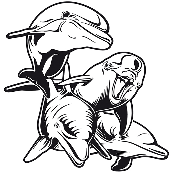 Camper van decals: Herd of Dolphins