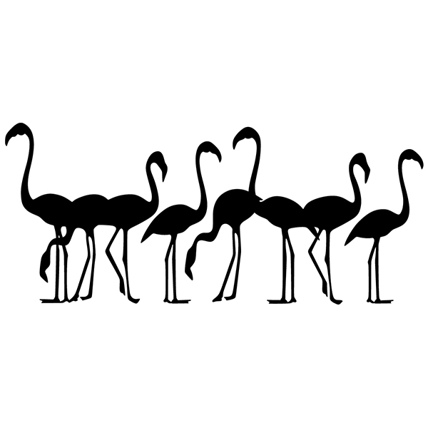 Camper van decals: Flock of Flamingos