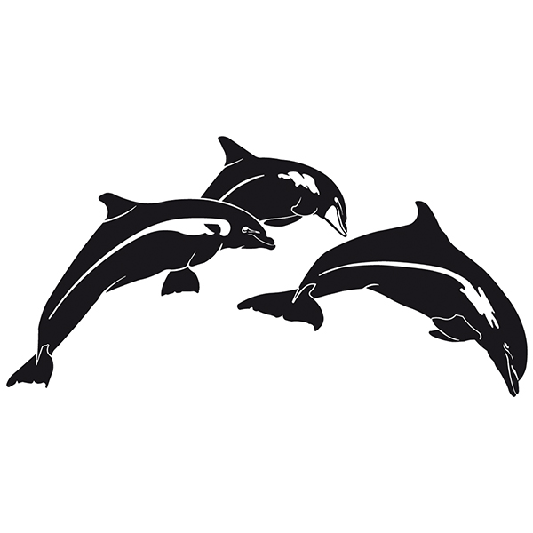 Camper van decals: Dolphins jumping