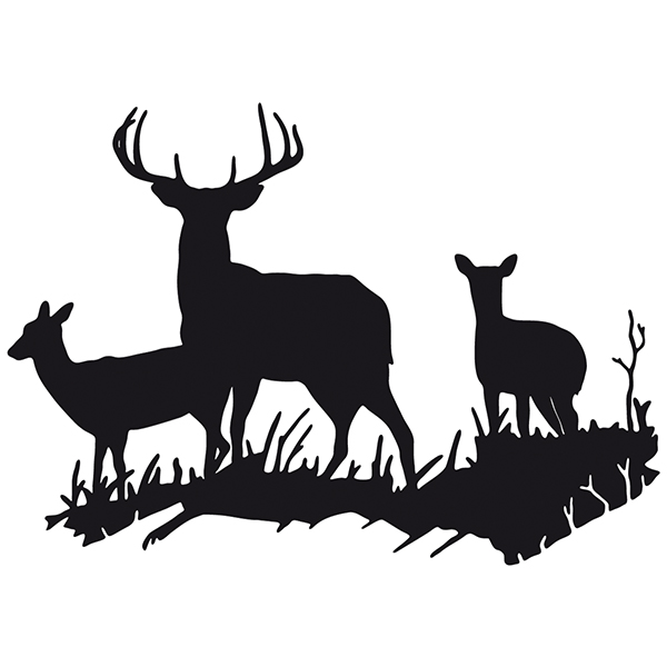 Car & Motorbike Stickers: Herd of Deer