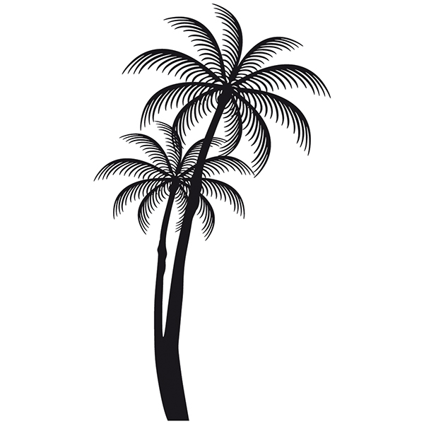 Camper van decals: Palms