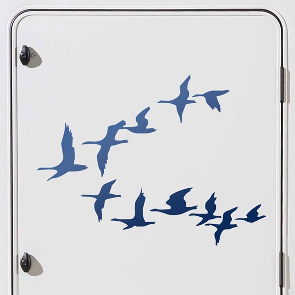 Camper van decals: Migration of Birds