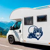 Camper van decals: Wolf in the forest 19