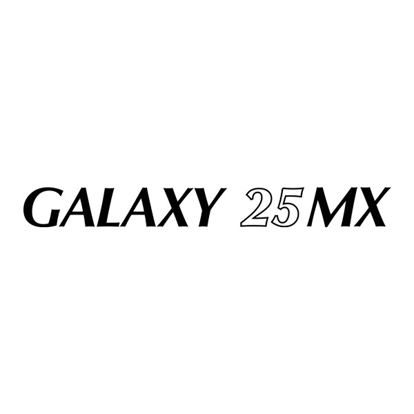 Camper van decals: Pilote Galaxy 25MX Decal