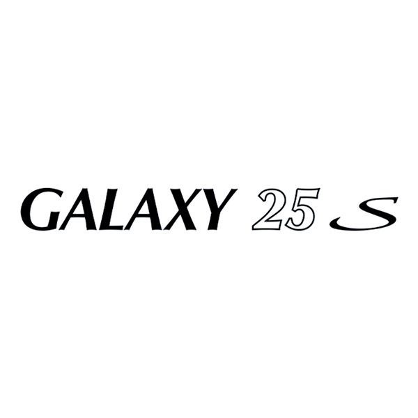 Camper van decals: Decorative decal Pilote Galaxy 25S for motorhome