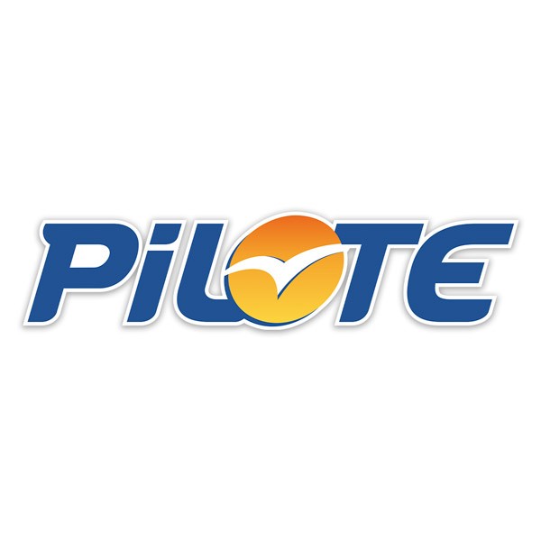 Camper van decals: Blue Pilote