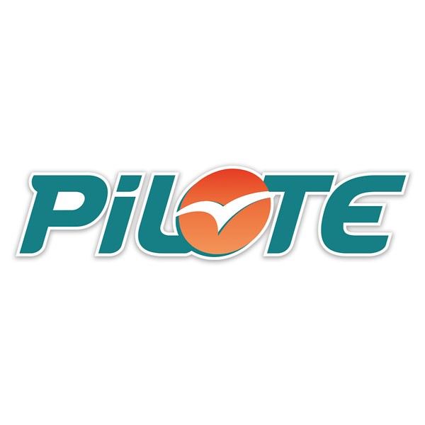 Camper van decals: Turquoise Pilote