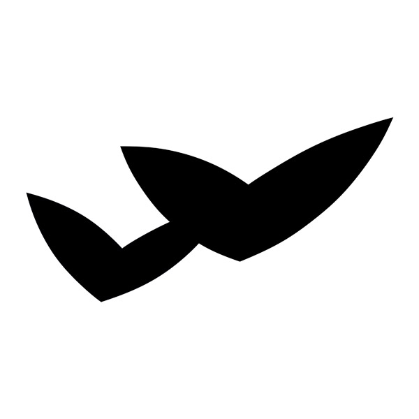 Camper van decals: Pilote logo wings hood