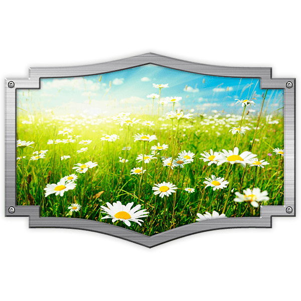 Camper van decals: Ornamental frame daisy field