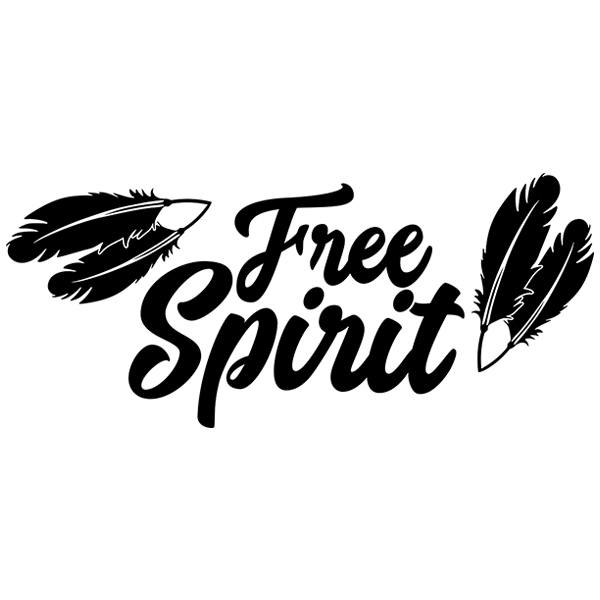 Camper van decals: Free Spirit