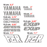 Car & Motorbike Stickers: kit Yamaha FZR 2